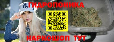 ALPHA PVP Моздок