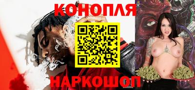 сатива Можга