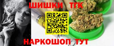 сатива Можга