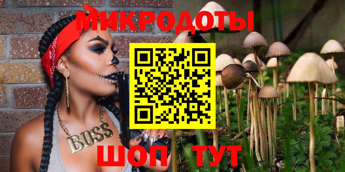 Псилоцибиновые грибы Psilocybe  Вход с VPN  Славянск-на-Кубани  Псилоцибиновые грибы GOLDEN TEACHER 